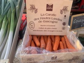 Carottes primeurs